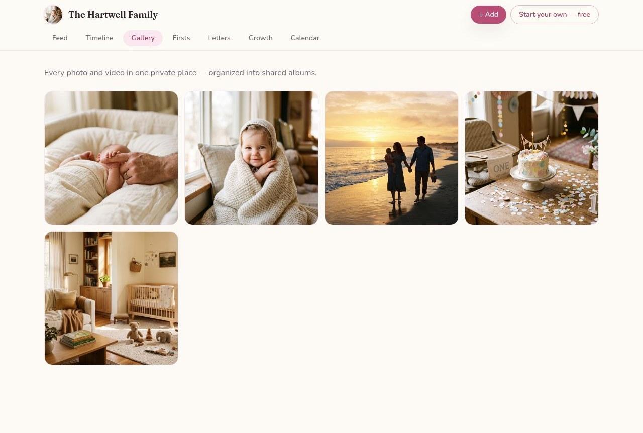Every photo and video, organized into shared albums